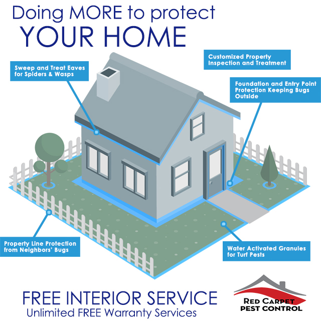 white plains ny pest control services near me