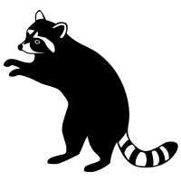 A racoon on a white background